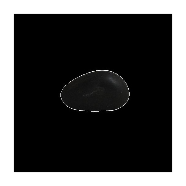 Kit Terrarium DIY Grand modèle pour entreprises – Cadeau d’entreprise éco-responsable personnalisé – BCM Goodies