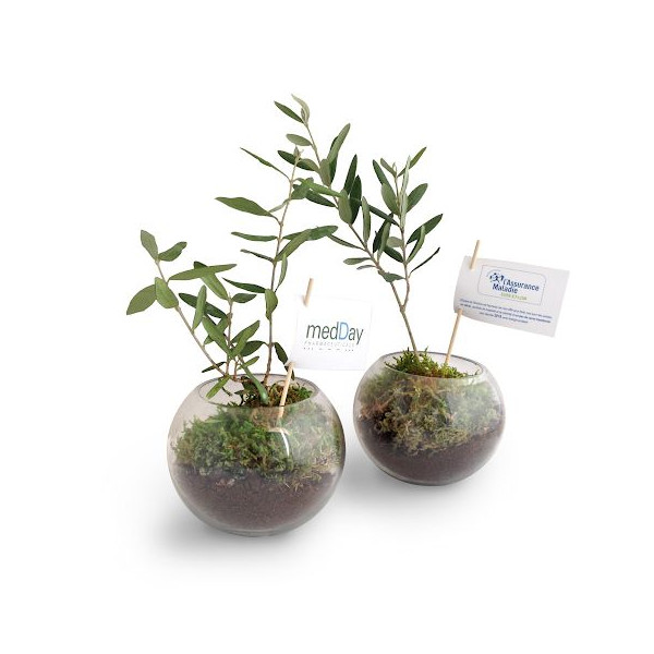 Globe arbre personnalisé Idée Nature – Cadeau d’entreprise écologique made in France – Marquage sur étiquette pour communication