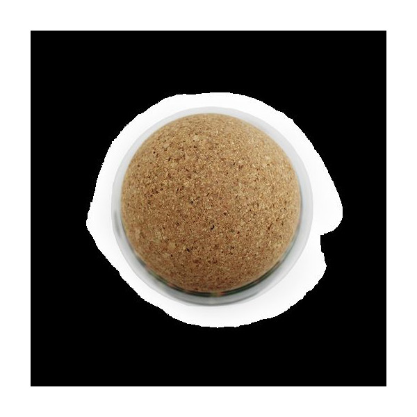 Terrarium boule liège Tillandsia personnalisable – Objet publicitaire écologique pour entreprises et welcome packs