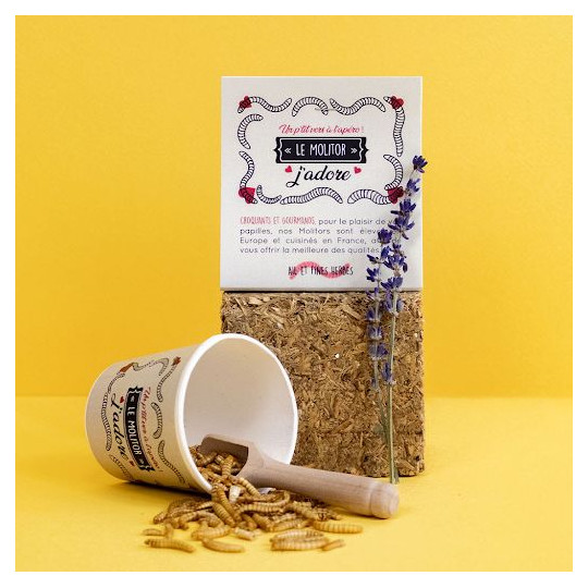 Pot en carton avec sachet de vers Molitor comestibles ø60x63mm – BCM Goodies