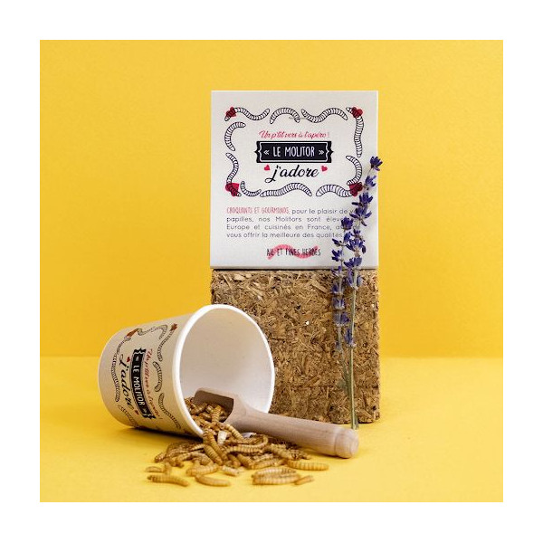 Pot en carton avec sachet de vers Molitor comestibles ø60x63mm – BCM Goodies