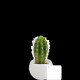 Plante en pot céramique aimanté personnalisable – Cadeau d’entreprise et objet publicitaire B2B