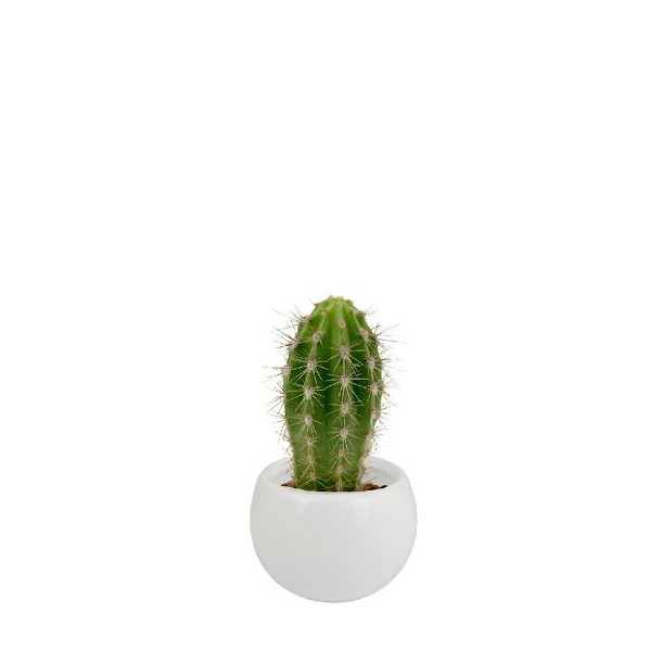 Plante en pot céramique aimanté personnalisable – Cadeau d’entreprise et objet publicitaire B2B