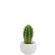 Plante en pot céramique aimanté personnalisable – Cadeau d’entreprise et objet publicitaire B2B