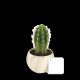 Plante en pot céramique aimanté effet bois personnalisable – Objet publicitaire écoresponsable pour communication d’entreprise