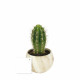 Plante en pot céramique aimanté effet bois personnalisable – Objet publicitaire écoresponsable pour communication d’entreprise