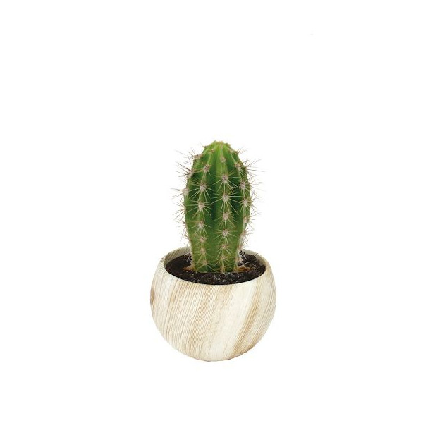 Plante en pot céramique aimanté effet bois personnalisable – Objet publicitaire écoresponsable pour communication d’entreprise