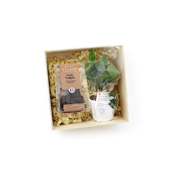 Coffret Caféier personnalisé pour cadeaux d’entreprise et communication B2B – BCM Goodies