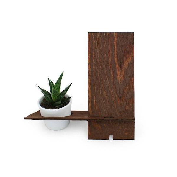 Support téléphone en bois de pin avec plante personnalisable – Objet publicitaire entreprise | BCM Goodies