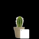 Plante en pot bambou Ø7 cm personnalisable – Cadeau d’entreprise écologique BCM Goodies
