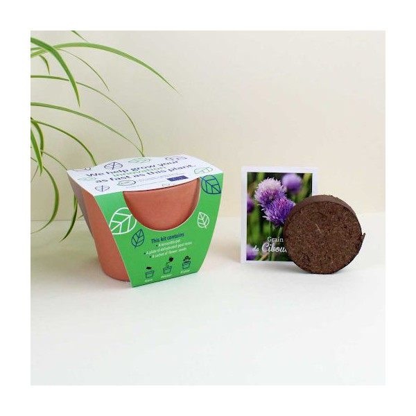 Kit de plantation personnalisable en terre cuite Ø 9cm pour entreprises – Goodies écologiques BCM Goodies