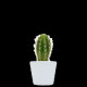 Plante en pot céramique personnalisable Ø7 cm – Goodies d’entreprise pour communication et accueil collaborateurs