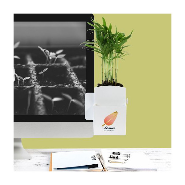 Plante Ø6cm en pot ABS avec billes d’argile – décoration bureau ordinateur – emballage papier kraft