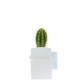 Plante Ø6cm en pot ABS avec billes d’argile – décoration bureau ordinateur – emballage papier kraft