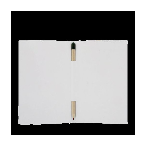 Crayon à graines mine multicolore avec carte à colorier personnalisable – Goodie écologique pour communication et fidélisation e