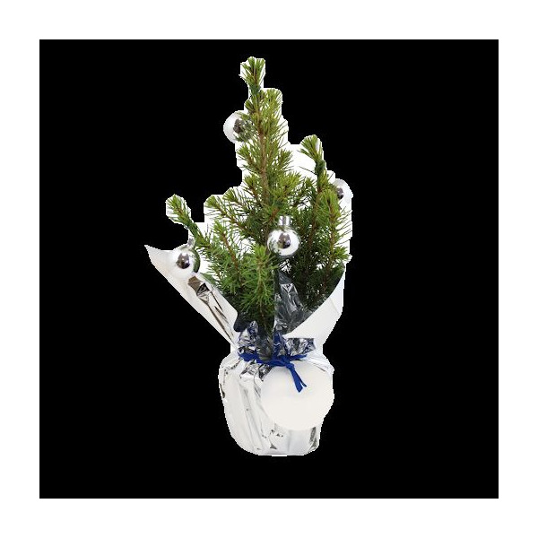 Sapin de Noël avec décoration personnalisée – Cadeau d’entreprise festif BCM Goodies