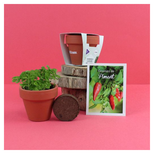 Kit de plantation personnalisable en terre cuite Ø6cm – Goodies écologiques pour entreprises et événements