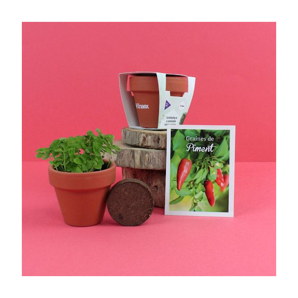 Kit de plantation personnalisable en terre cuite Ø6cm – Goodies écologiques pour entreprises et événements