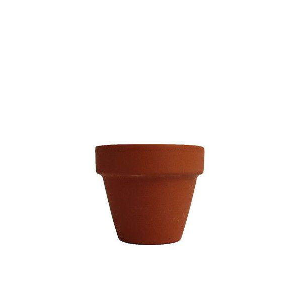Kit de plantation personnalisable en terre cuite Ø6cm – Goodies écologiques pour entreprises et événements