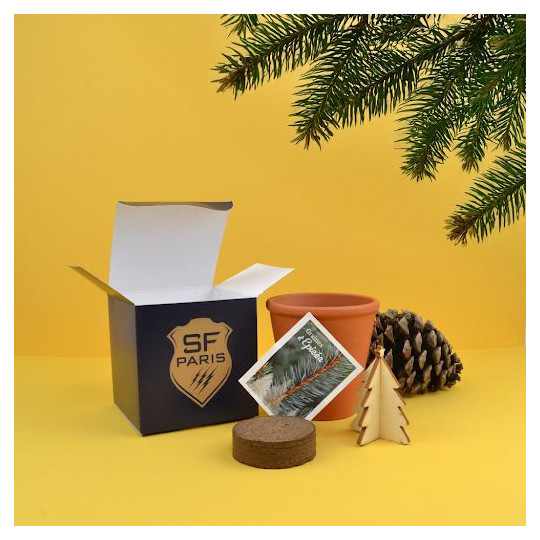 Cube plantation Ø10 cm personnalisé – Cadeau d’entreprise écologique et original | BCM Goodies