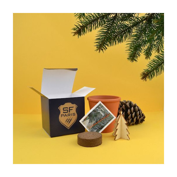 Cube plantation Ø10 cm personnalisé – Cadeau d’entreprise écologique et original | BCM Goodies