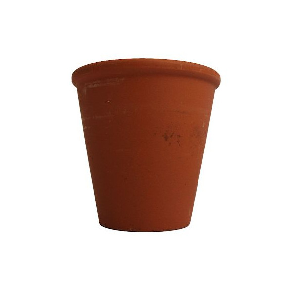 Cube plantation Ø10 cm personnalisé – Cadeau d’entreprise écologique et original | BCM Goodies