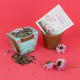 Kit de plantation pot paille de riz personnalisable – Cadeau d’entreprise écologique BCM Goodies