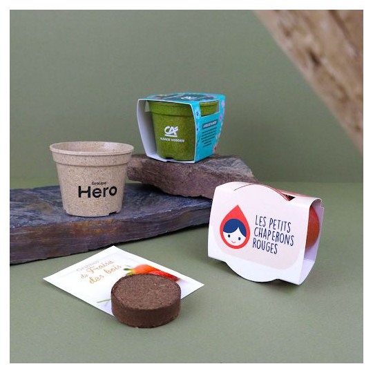 Kit de plantation pot paille de riz personnalisable – Cadeau d’entreprise éco-responsable BCM Goodies