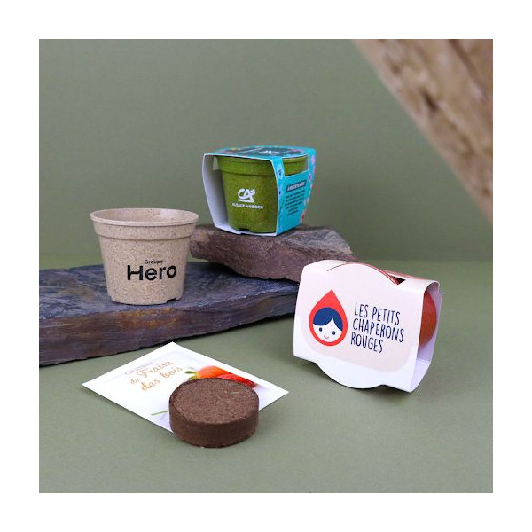 Kit de plantation pot paille de riz personnalisable – Cadeau d’entreprise éco-responsable BCM Goodies