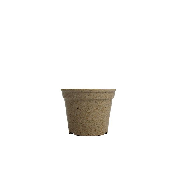 Kit de plantation pot paille de riz personnalisable – Cadeau d’entreprise éco-responsable BCM Goodies