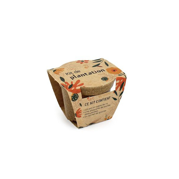 Kit plantation pot paille de riz standard – Goodies écologiques pour entreprises | BCM Goodies