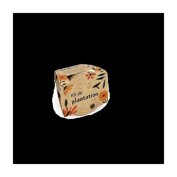Kit plantation pot paille de riz standard – Goodies écologiques pour entreprises | BCM Goodies