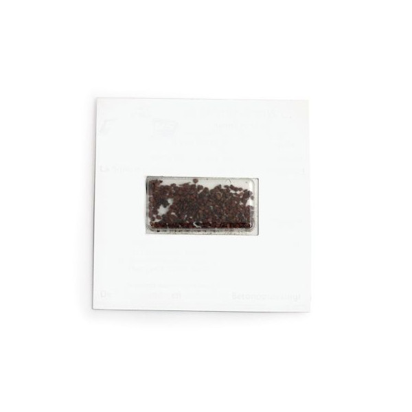 Carte à graines personnalisable 100x100 mm pour communication B2B – BCM Goodies
