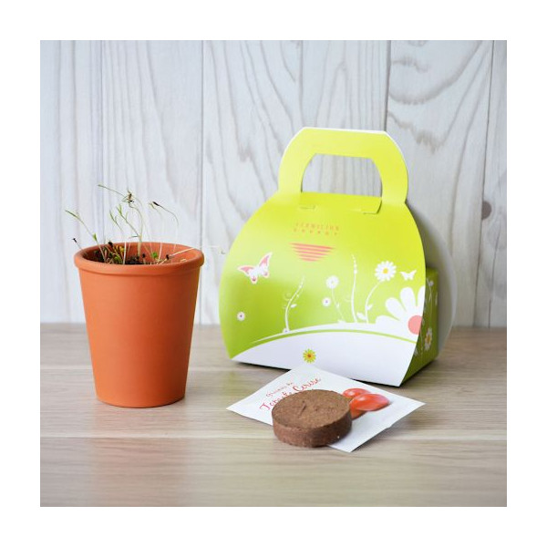 Kit Mallette Idée Nature personnalisable – Goodies écologiques pour communication d’entreprise – BCM Goodies